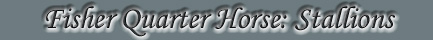 Fisher Quarter Horse Satllions